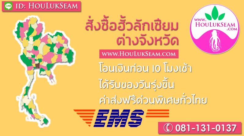 สั่งซื้อฮั้วลักเซียมไปต่างจังหวัด